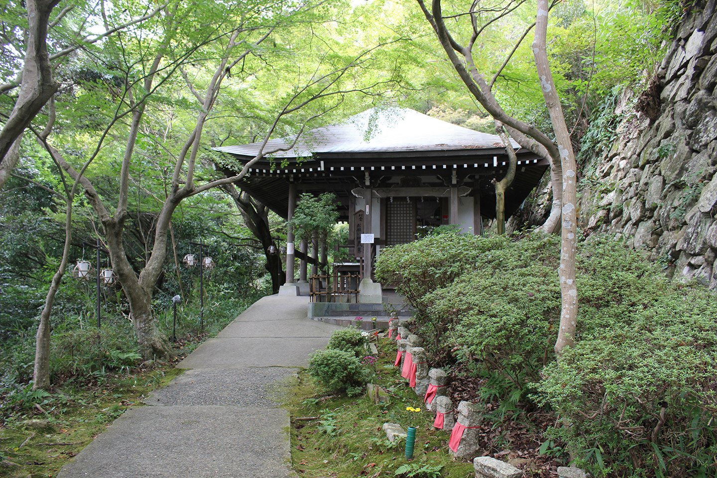 ⛰️ 하치도산 유적 (하치도야마 이세키) 이미지 6